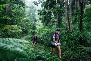 BIB: 
                            <button type="button" onclick="openModal(26359399)" class="btn btn-primary btn-sm float-right btn-popup" data-toggle="modal" data-target=".modal-high-quality">
                        <i class="fas fa-shopping-cart"></i> Add to Cart
                    </button>
                                            <button type="button" onclick="isThisMe(26359399, true)" class="btn btn-success btn-sm float-right btn-popup btn-isme hidden" data-toggle="tooltip" data-placement="bottom" title="นี่คือรูปของคุณใช่ไหม คลิกที่นี่เพื่อเอาเข้าอัลบั้ม">
                        <i class="fas fa-plus"></i> Add to album
                    </button>
                    <button type="button" onclick="isThisMe(26359399, false)" class="btn btn-warning btn-sm float-right btn-popup btn-isnotme hidden">
                        <i class="fas fa-ban"></i> Remove from album
                    </button>